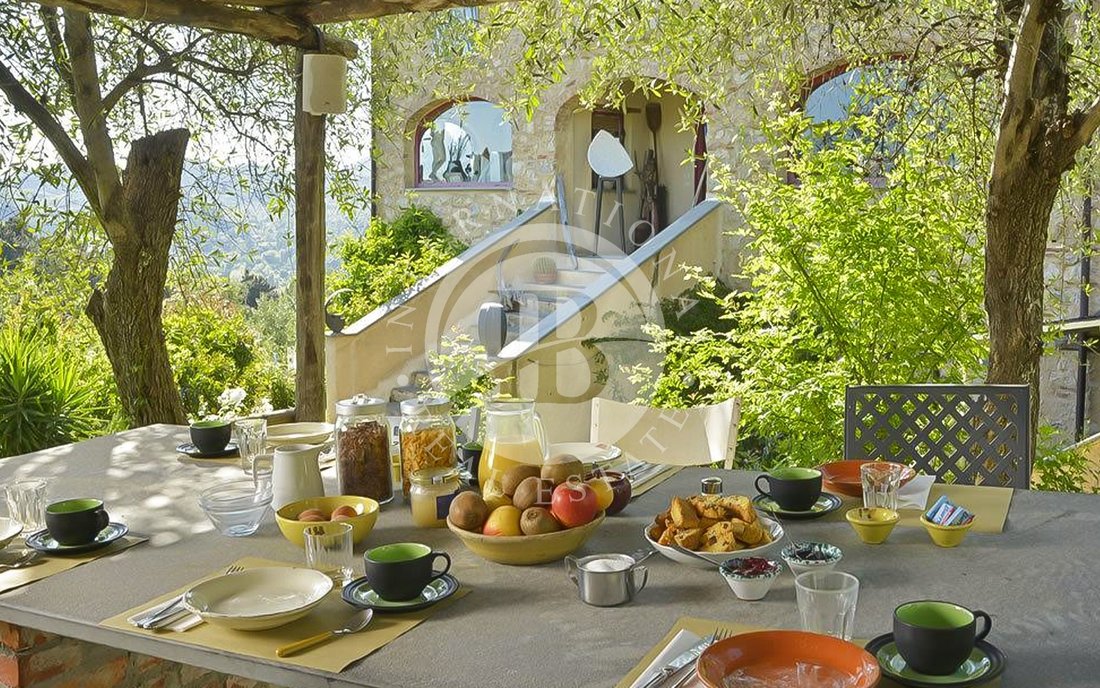 Villa in Camaiore, Tuscany, Italy 5 - 14301856