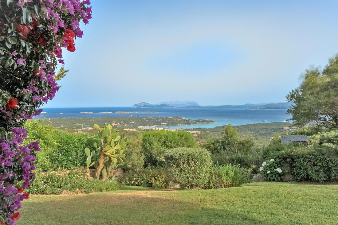Villa in Marina di Porto Cervo, Porto Cervo, Italy 5 - 11176943