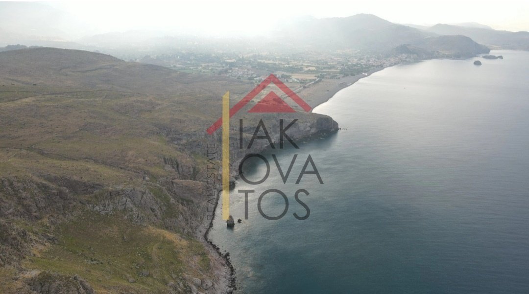 Land in Western Lesvos, Aegean, Greece 1 - 14305755