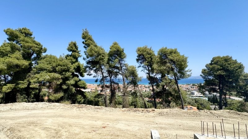Villa in Pallini Municipal Unit, Macedonia and Thrace, Greece 3 - 14297691
