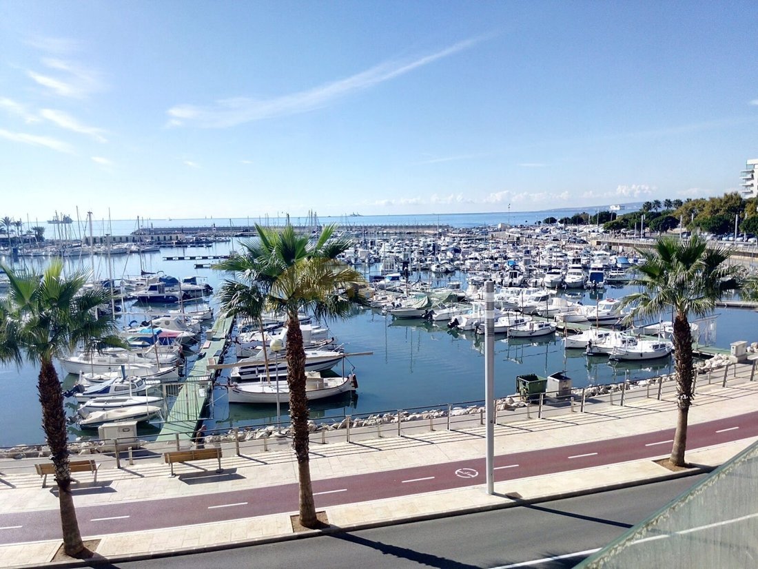 Wohnung in Palma, Balearische Inseln, Spanien 1 - 14304211