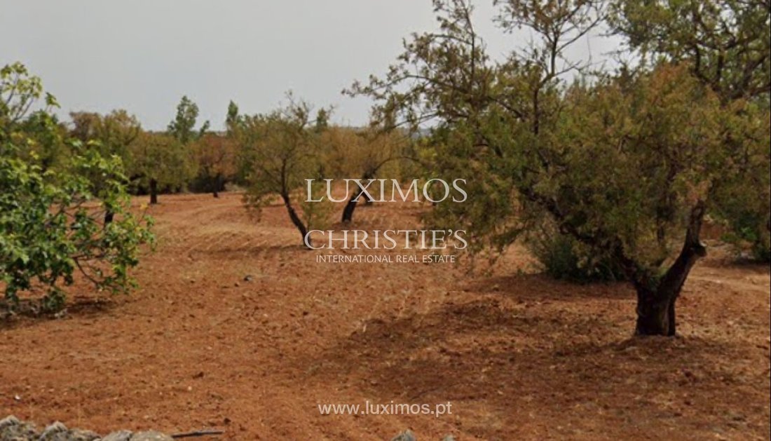 Land in Estoi, Algarve, Portugal 2 - 14304438