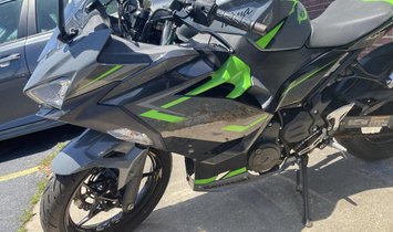 2019 Kawasaki Ninja 400 ABS