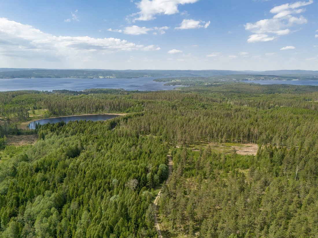 Trotakan Norra 2 In Arvika, Varmland County, Sweden For Sale (14310773)