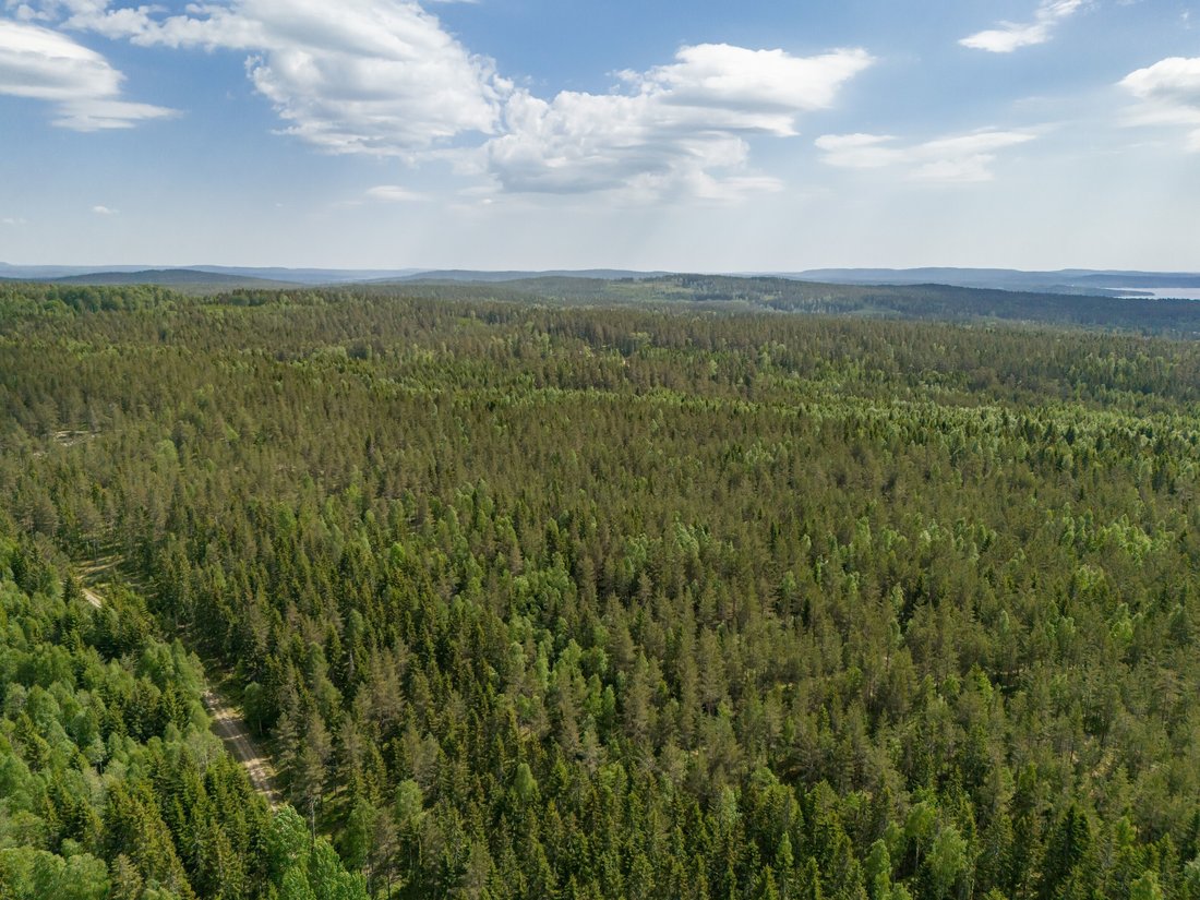 Trotakan Norra 2 In Arvika, Varmland County, Sweden For Sale (14310773)