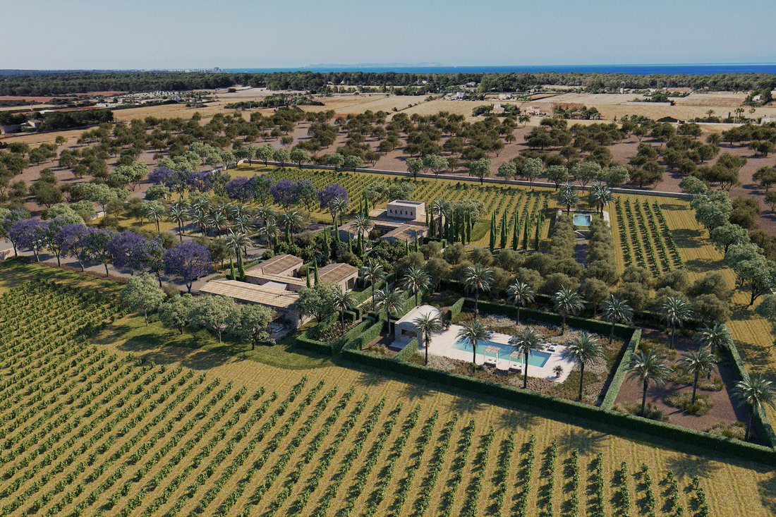 Finca a Campos, Isole Baleari, Spagna 1 - 12647768