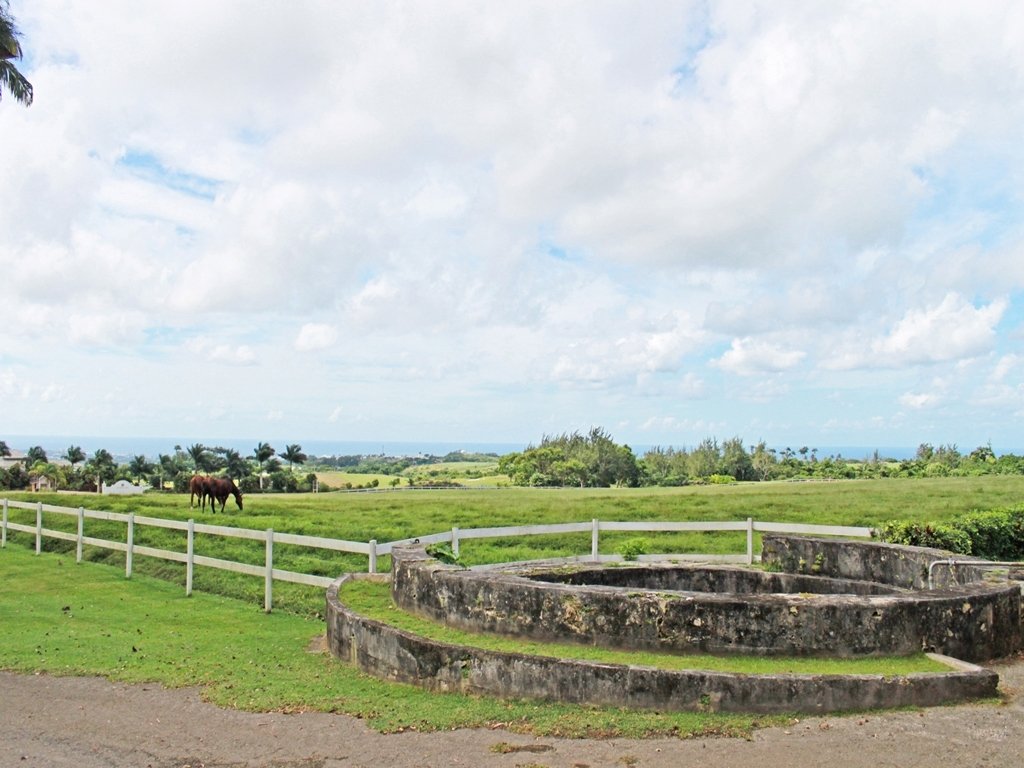 Land in Lion Castle, Saint Thomas, Barbados 4 - 14320843
