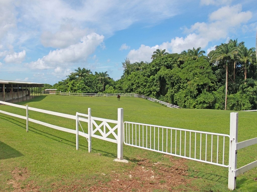 Land in Lion Castle, Saint Thomas, Barbados 3 - 14320843