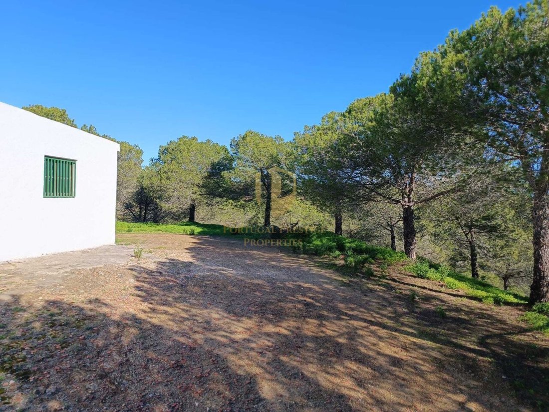 Farm Ranch in Castro Marim, Algarve, Portugal 1 - 14324093