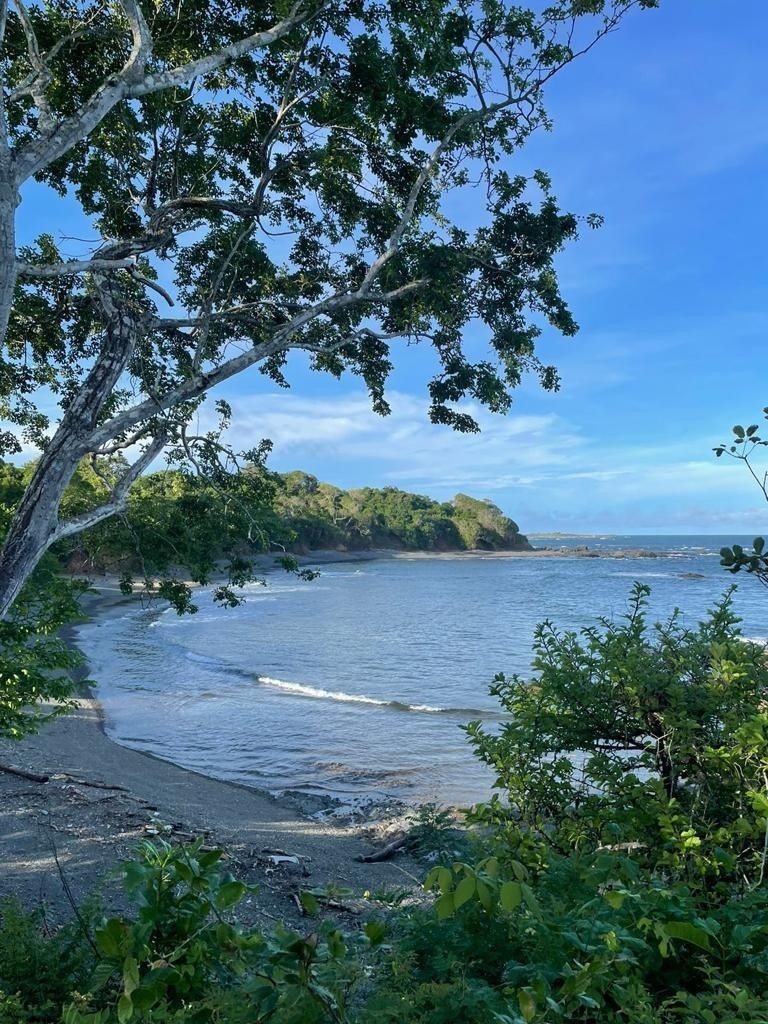 Pedasi, Los Santos Province, Panama 5 - 14321607