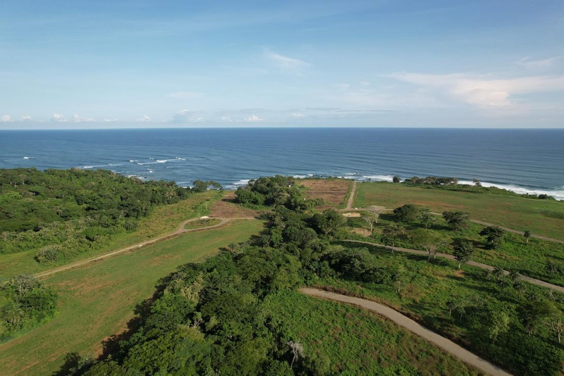 Pedasi, Los Santos Province, Panama 4 - 14321607