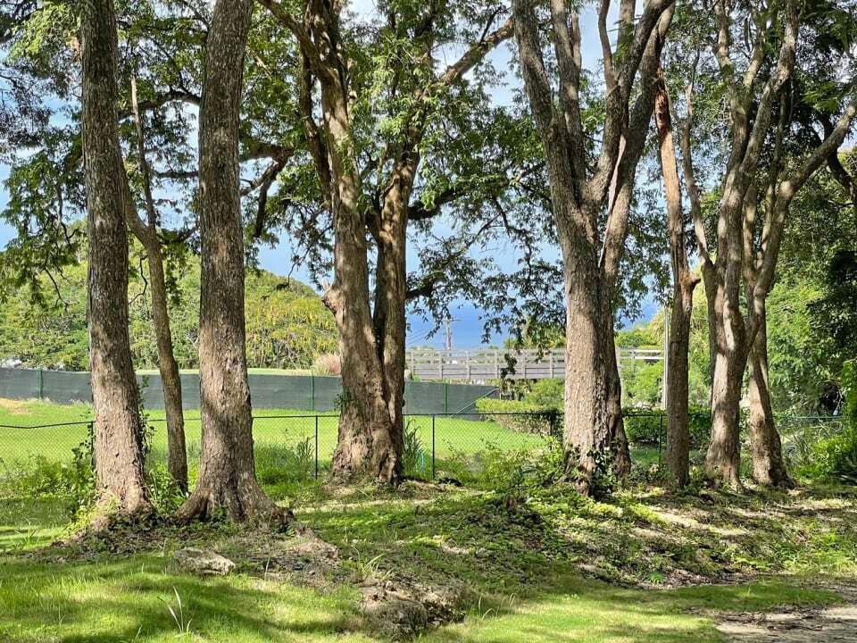 Villa in Westmoreland, Saint James, Barbados 5 - 14320692