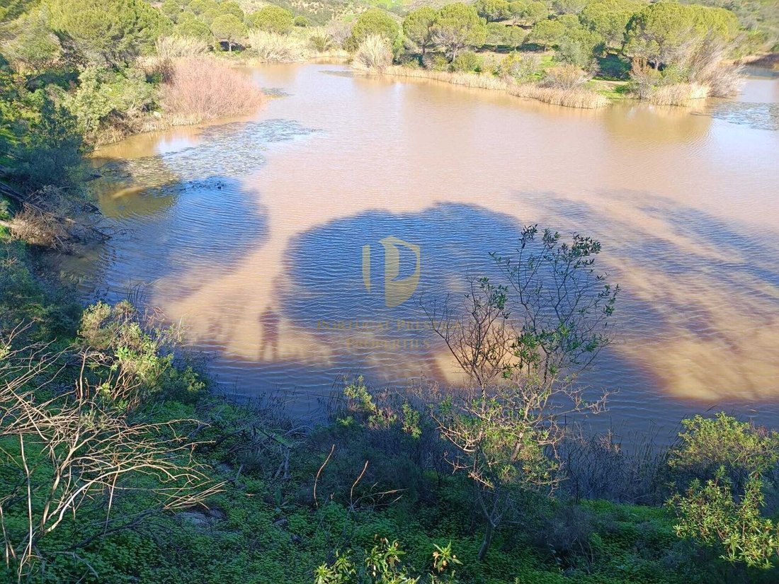 Farm Ranch in Castro Marim, Algarve, Portugal 5 - 14324056