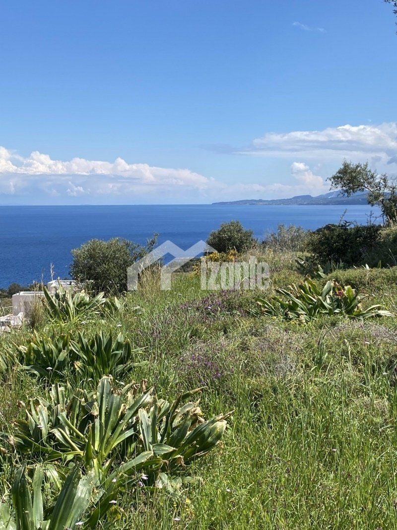 Land in Bolimon, Elaties, Greece 5 - 14318772