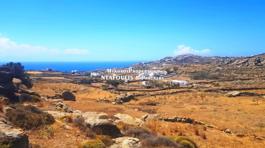 Mykonos, Aegean, Greece 3 - 14318215
