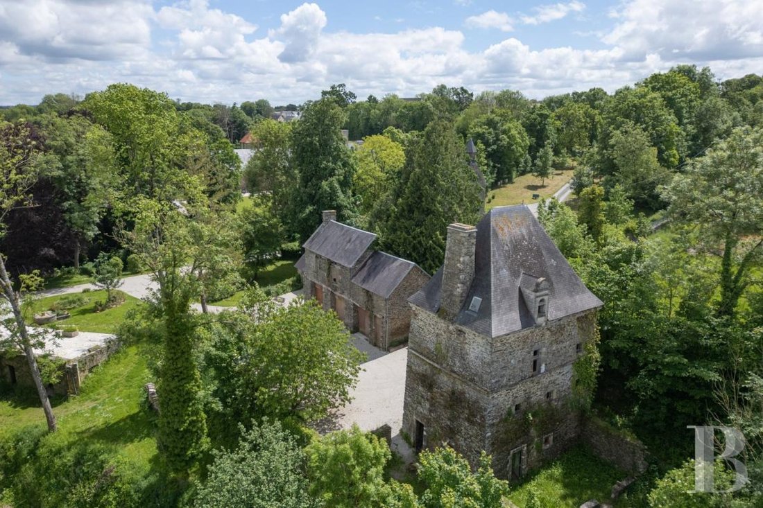 Castle in La Dollée-L'Enclos, Saint-Lo, France 2 - 14317979