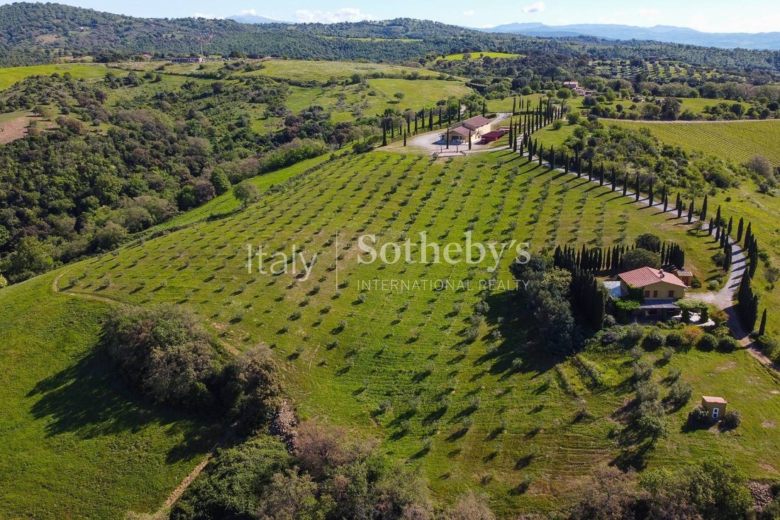 House in Magliano in Toscana, Tuscany, Italy 3 - 14315599