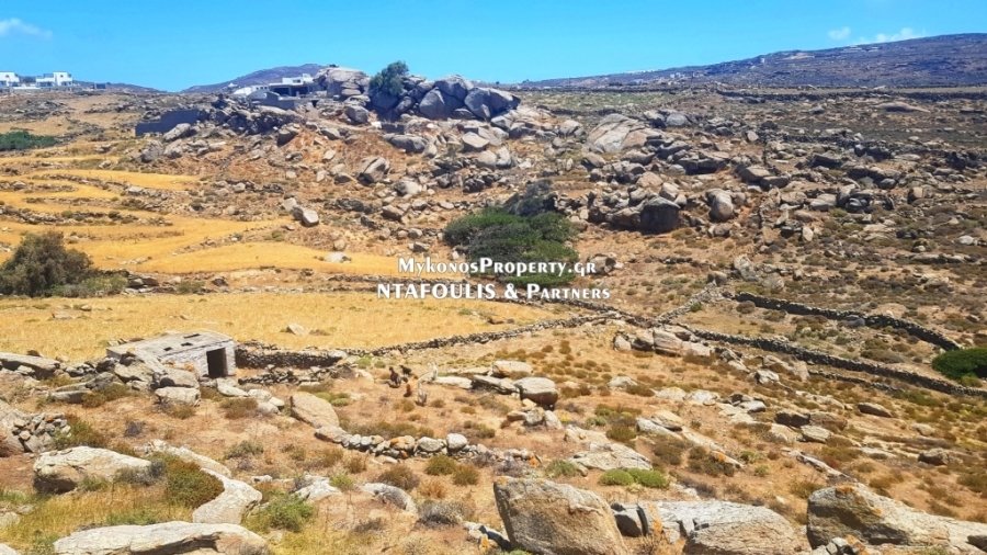 Mykonos, Aegean, Greece 3 - 14324151