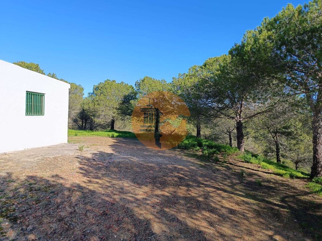 Farm Ranch in Castro Marim, Algarve, Portugal 1 - 14324033