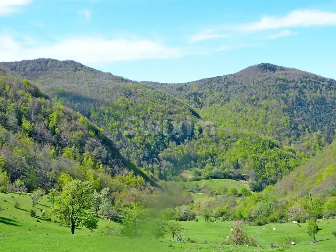 House in Vesc, Auvergne-Rhône-Alpes, France 3 - 14323768