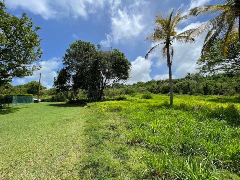 Apartment in The Garden, Saint James, Barbados 5 - 14319782