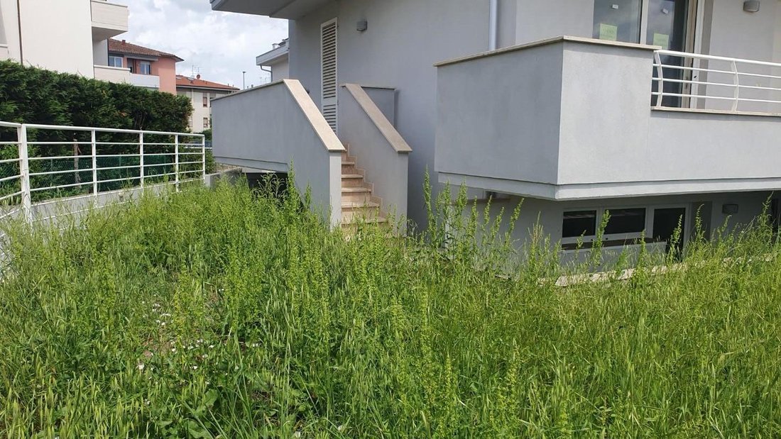 Villa in Villanuova, Empoli, Tuscany 3 - 14329834