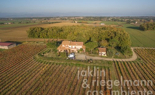 Farm Ranch in Castiglione del Lago, Umbria, Italy 1