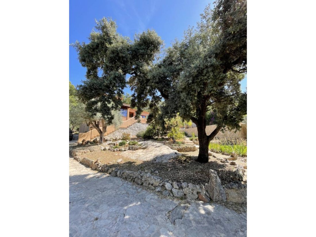 Otros en Buñola, Islas Baleares, España 3 - 14328739