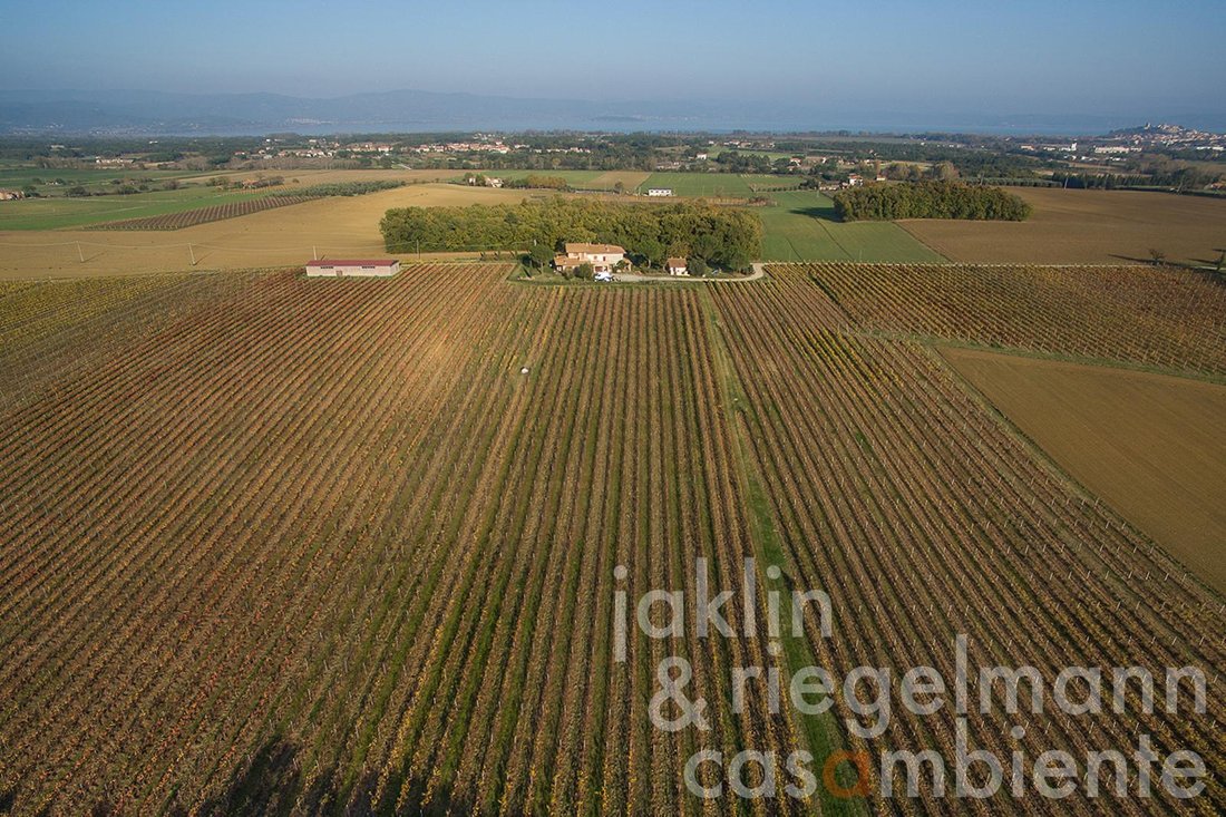 Farm Ranch in Castiglione del Lago, Umbria, Italy 2 - 11425665