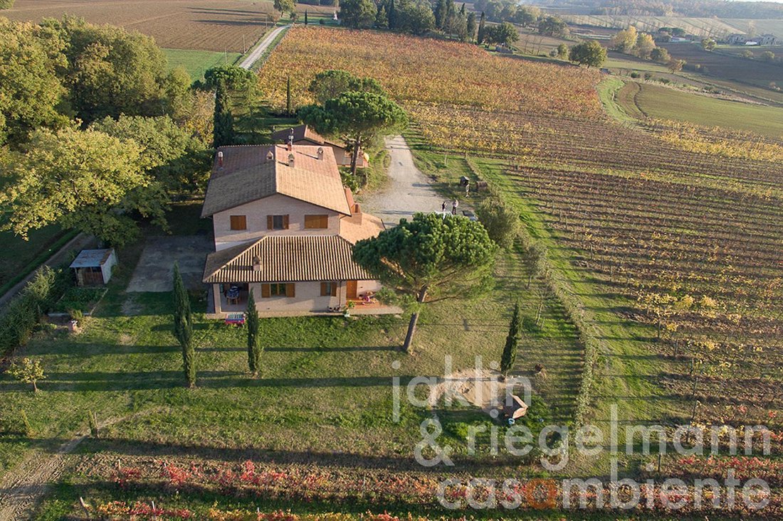 Farm Ranch in Castiglione del Lago, Umbria, Italy 3 - 11425665