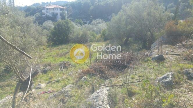 Land in Katounis, Peloponnese, Western Greece and the Ionian, Greece 4 - 14326624