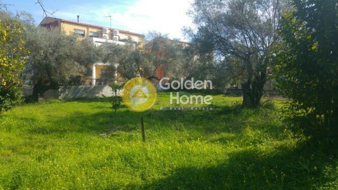 Land in Katounis, Peloponnese, Western Greece and the Ionian, Greece 5 - 14326624