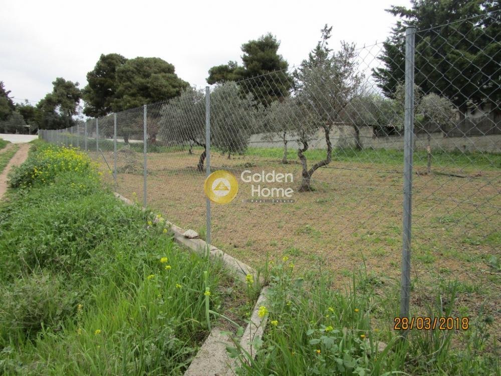 Land in Kifisia, Attica, Greece 4 - 14326510