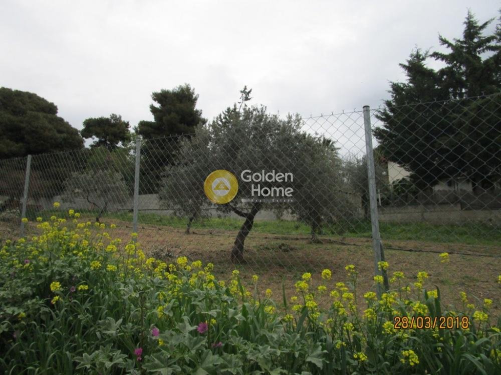 Land in Kifisia, Attica, Greece 2 - 14326510