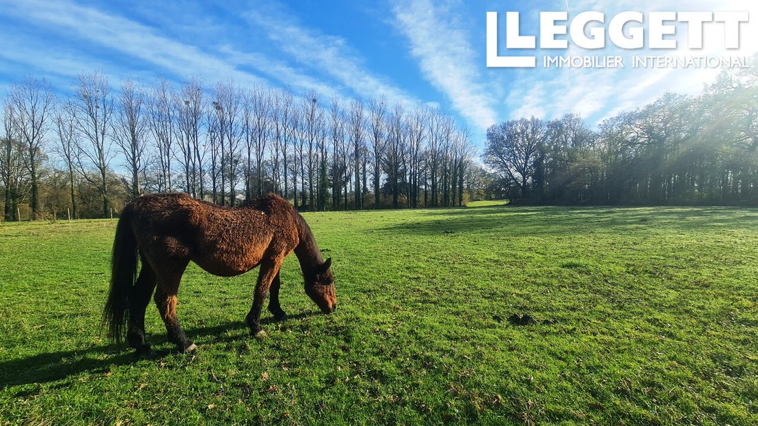 Whispers of a Château: A 5-Hectare Legacy in Vendée’s Heart