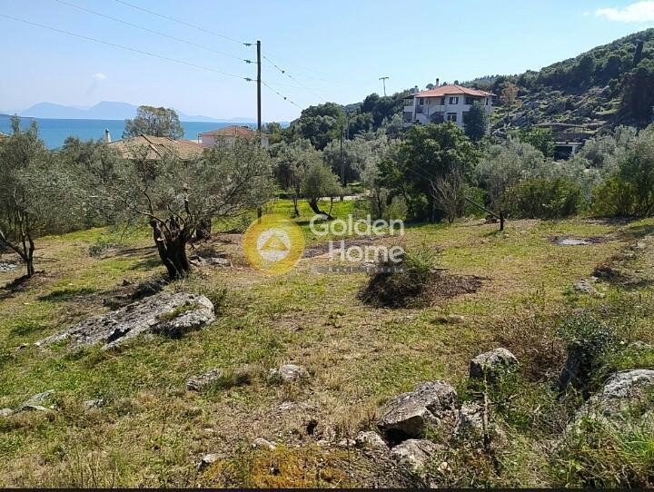 Land in Katounis, Peloponnese, Western Greece and the Ionian, Greece 1 - 14326624