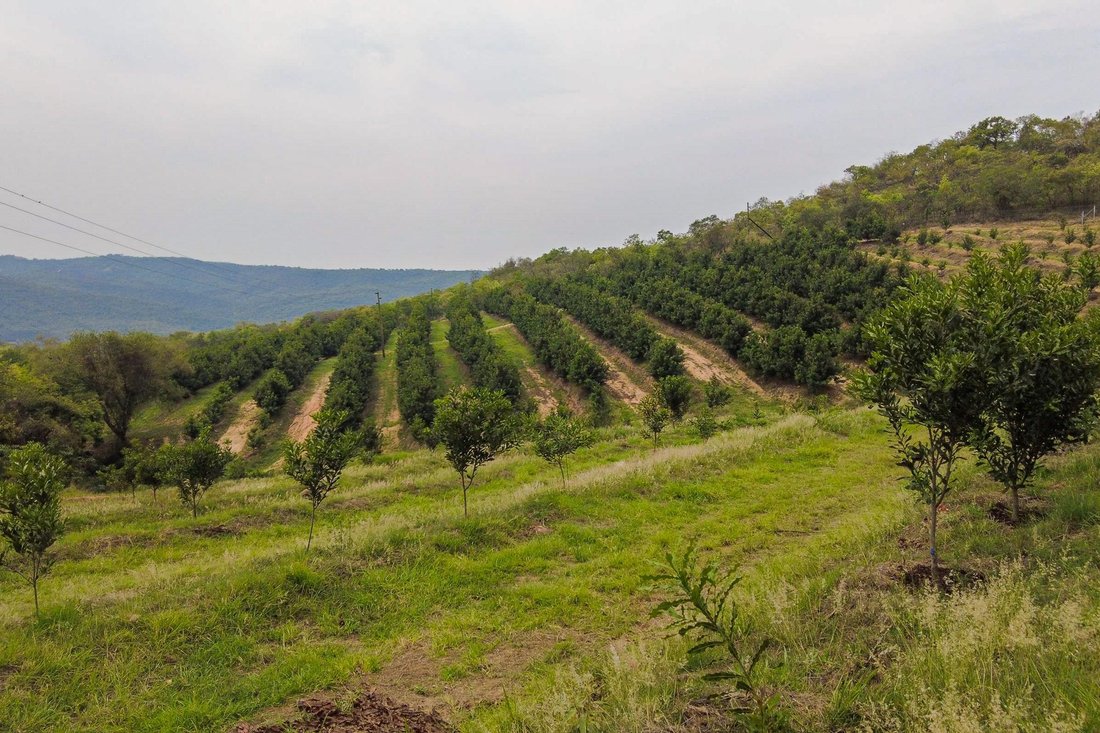 Rancho en Hazyview, Provincia de Mpumalanga, Sudáfrica 1 - 14336233