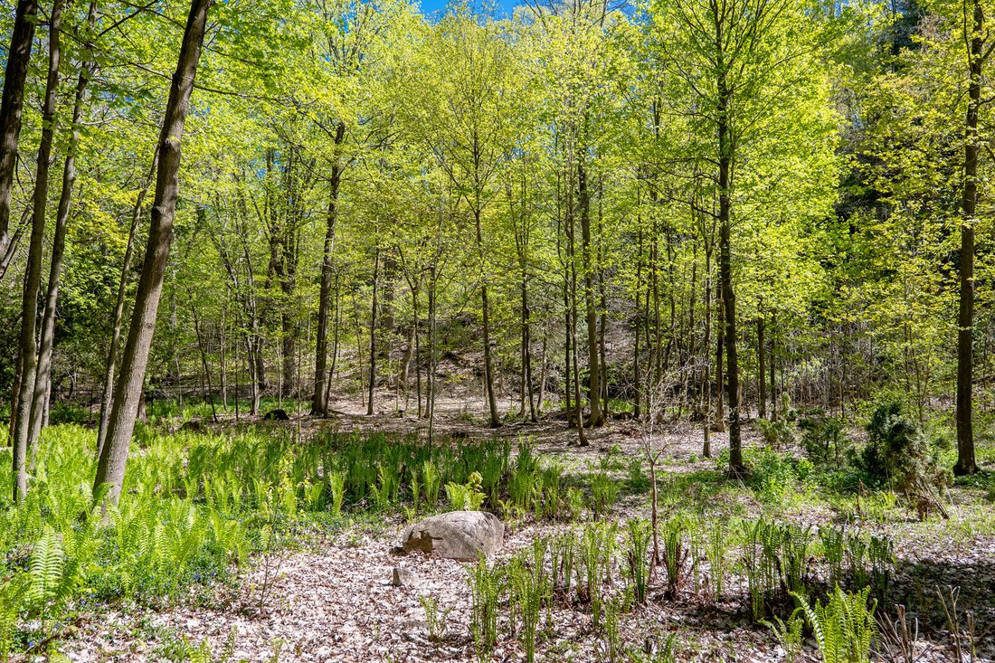 Amazing Mid Century In Rothwell Heights In Ottawa, Ontario, Canada For
