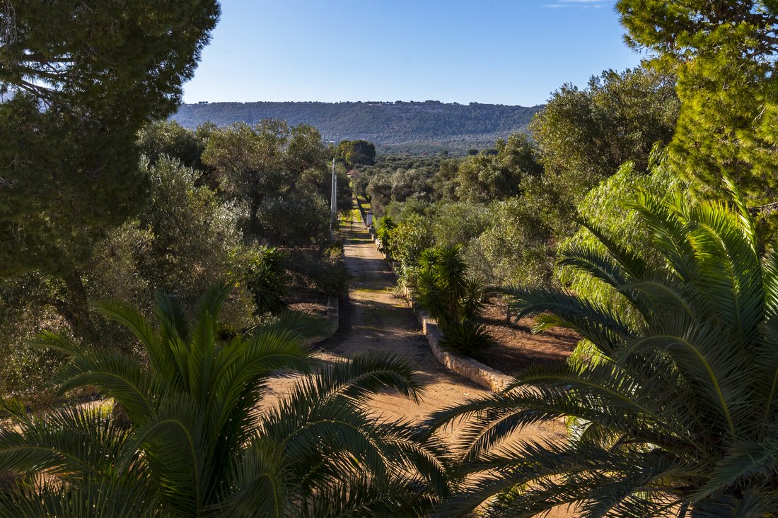 Farm Ranch in Selva di Fasano, Apulia, Italy 4 - 13778961