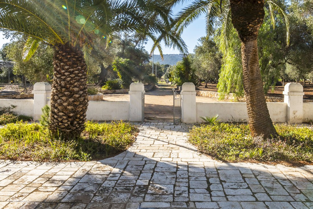 Farm Ranch in Selva di Fasano, Apulia, Italy 3 - 13778961