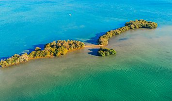 Private Island in Miami, Florida, United States 1