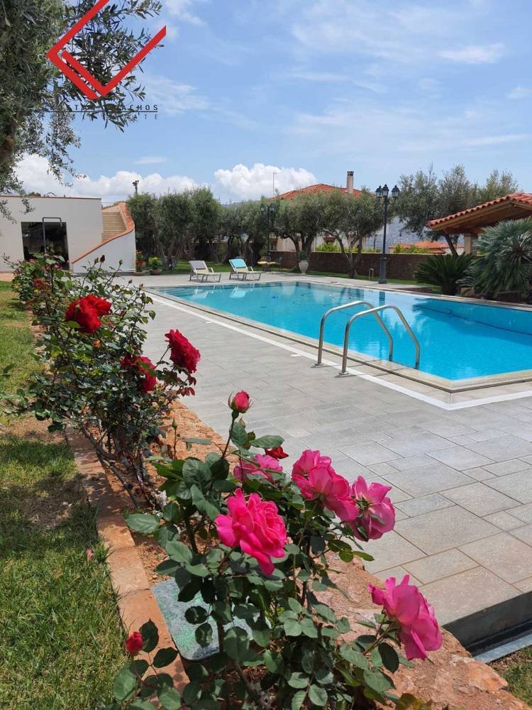 House in Kalyvia Thorikou, Attica, Greece 3 - 14339654