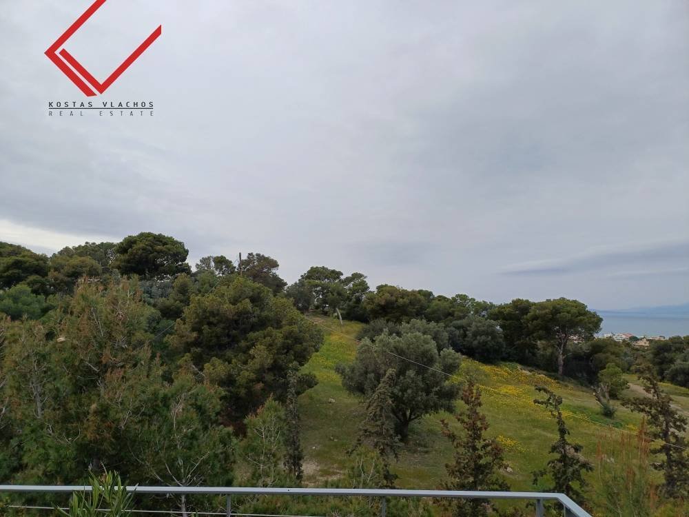 Vouliagmeni, Attica, Greece 2 - 14338998