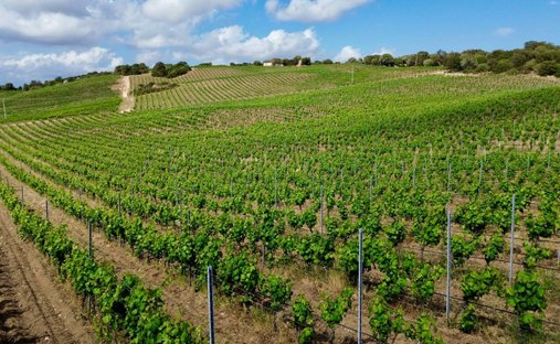 Land in Berchiddeddu, Sardinien, Italien 1