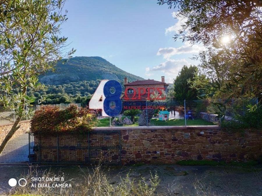 Apartment in Chios, Aegean, Greece 1 - 14337047