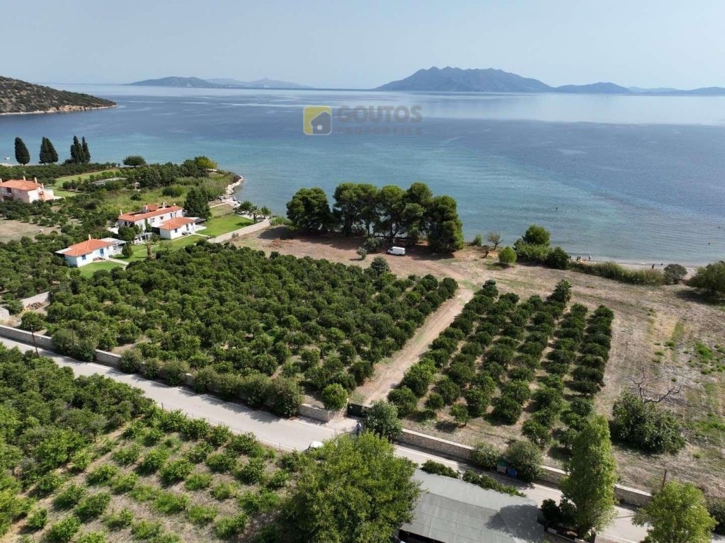 Land in Community of Ancient Epidavros, Epidavros, Greece 2 - 14340335
