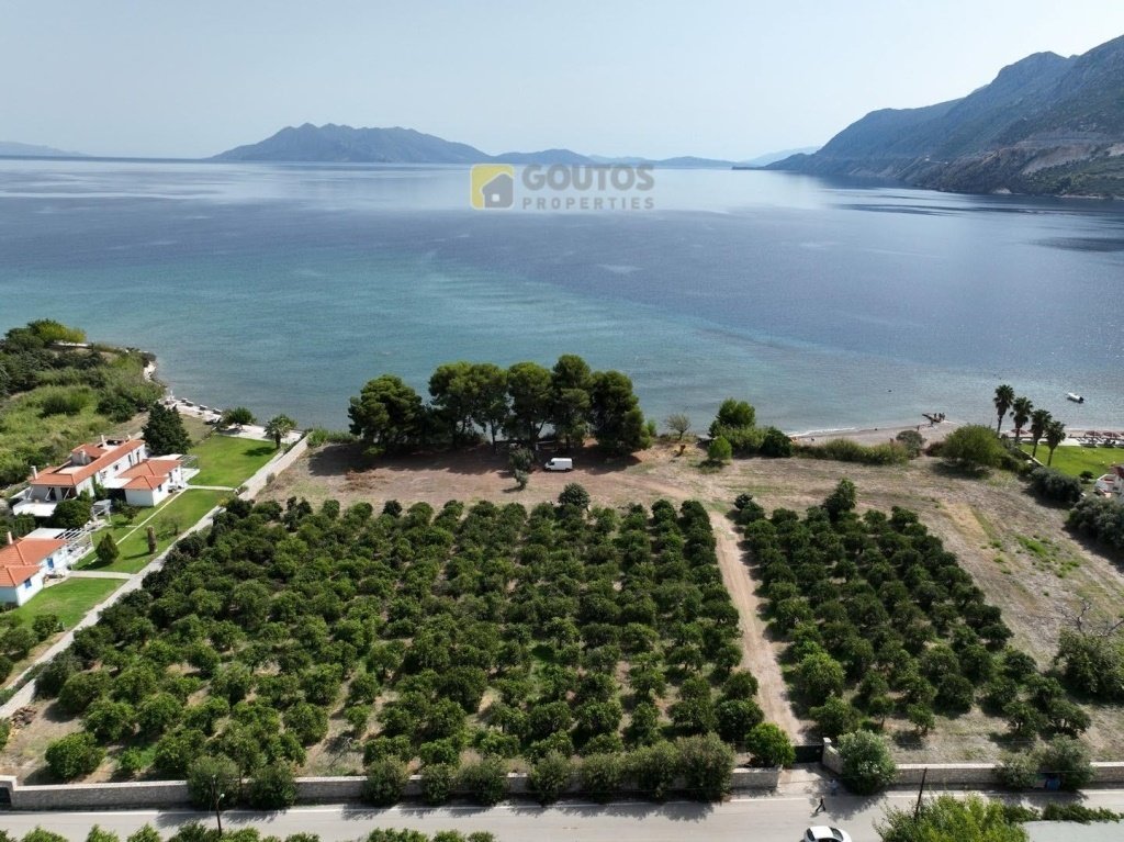 Land in Community of Ancient Epidavros, Epidavros, Greece 3 - 14340335