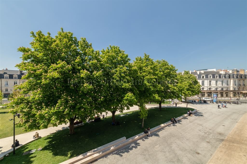 Apartment in Hôtel de Ville-Quinconce-Saint Seurin-Fondaudège, Bordeaux, France 3 - 14341236