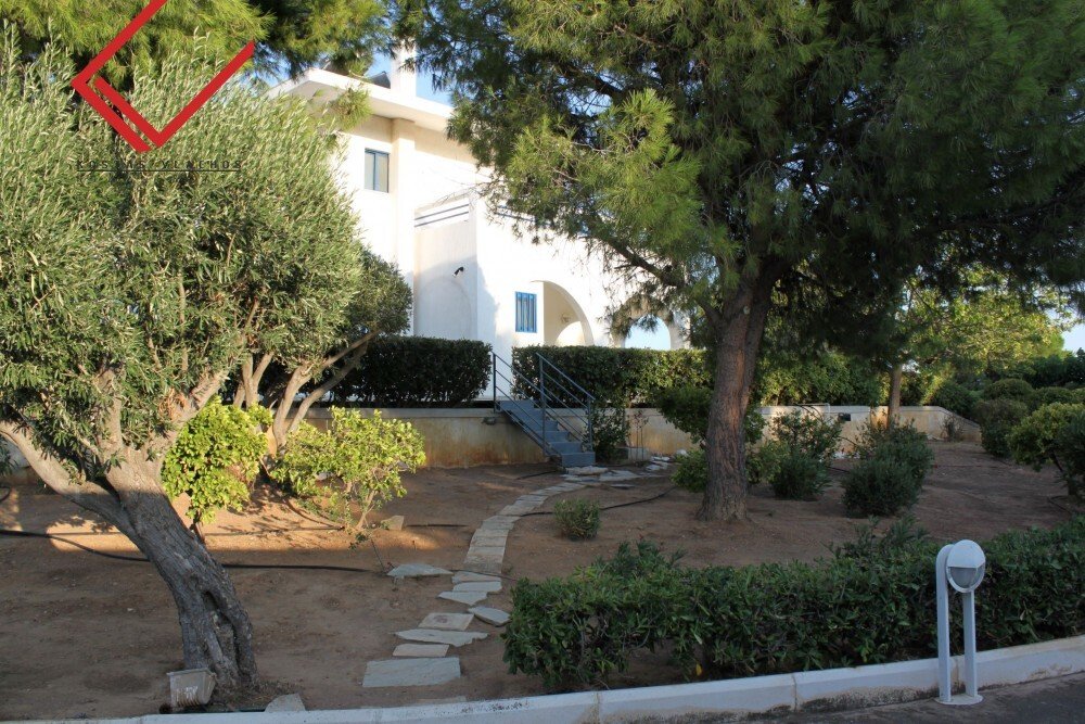 House in Lavreotiki Community, Attica, Greece 5 - 14338610