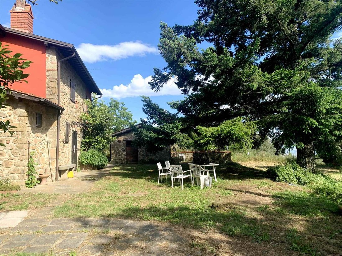 Andere in Uzzano, Toskana, Italien 5 - 14343825
